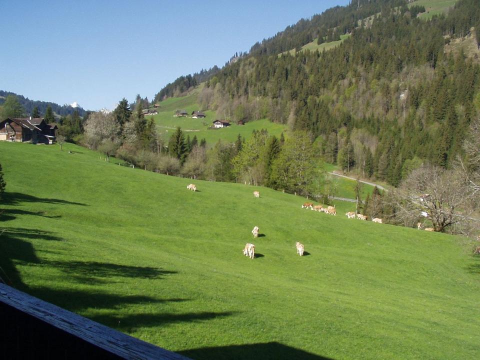 Zicht op Kleine Simme-dal vanaf het balkon
